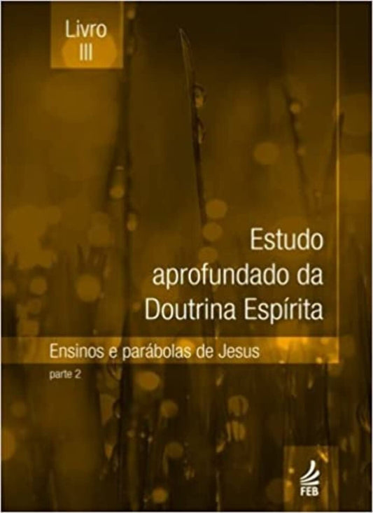 Estudo aprofundado da doutrina espírita - Livro III